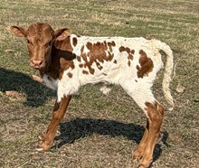 GLR COOL HANGOUT GAL