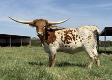 #114 BUX JJ X REBELLIOUS 