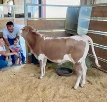 J7 KEVIN MCCALLISTER 🇺🇸